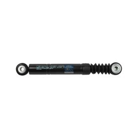 Schwingungsdämpfer, Keilrippenriemen für MERCEDES-BENZ von DT Spare Parts