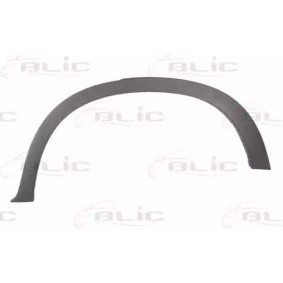 Zier- / Schutzleiste, Kotflügel 5703-04-0096595P BMW von BLIC