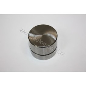 Compre Came de válvula da AUTOMEGA 3006400009 a um preço baixo por 7,25 €