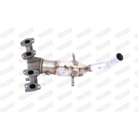 Katalysator 20725 von WALKER günstig für 510,48 € online kaufen