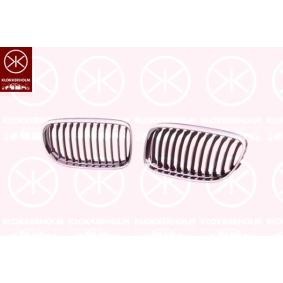 Kühlergrill für BMW von KLOKKERHOLM