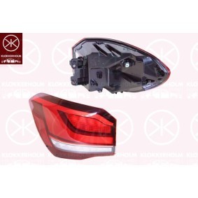 Lüftungsgitter, Stoßfänger 01099912A1 von KLOKKERHOLM günstig für 40,12 € online kaufen