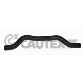 Kühlerschlauch 026577 von CAUTEX günstig für 26,26 € online kaufen