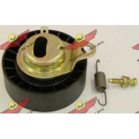 Spannrolle, Zahnriemen 03.181 von AUTOKIT günstig für 85,77 € online kaufen