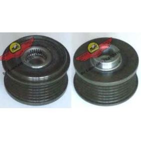 Compre Roda livre do alternador da AUTOKIT 03.81248 a um preço baixo por 105,00 €