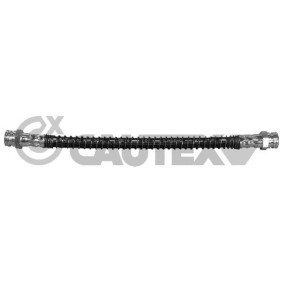 Bremsschlauch 030407 von CAUTEX günstig für 17,66 € online kaufen