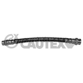 Bremsschlauch 031273 von CAUTEX günstig für 28,95 € online kaufen