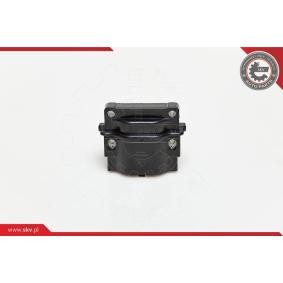 Compre Bobina de ignição da ESEN SKV 03SKV063 a um preço baixo por 29,62 €