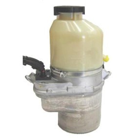 Achetez des Pompe de direction assistée LIZARTE 04.55.1020 à prix pour 331,32 €