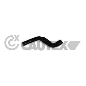 Compre Tubo de radiador de CAUTEX online para X-TRAIL (T30) a preços moderados