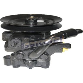 Compre Bomba de direção da SERCORE 07B256 a um preço baixo por 163,58 €
