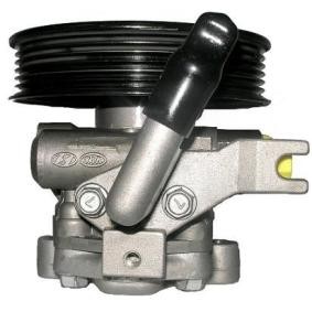 Compre Bomba de direção da SERCORE 07B967 a um preço baixo por 157,27 €