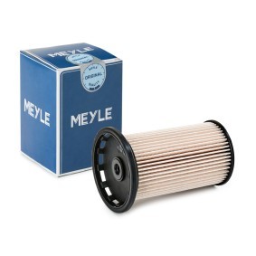 Köp Bränslefilter av MEYLE 100 323 0024 till det låga priset 265,17 kr