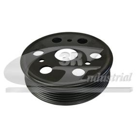 Spannrolle, Keilriemen für RENAULT von 3RG