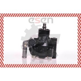 Achetez des Pompe de direction assistée de chez ESEN SKV en ligne pour Sunny III Van (Y10) à prix modérés
