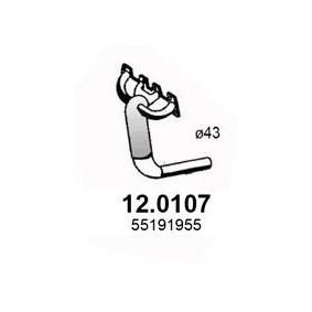 Katalysator 12.0107 von ASSO günstig für 372,52 € online kaufen