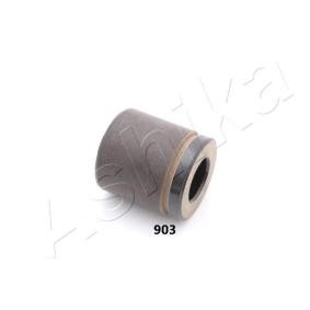 Acquista Pistoncino pinza freno da ASHIKA 133-09-903 a buon mercato per soli 59,28 €
