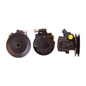Servopumpe 15-0313 von ELSTOCK günstig für 177,33 € online kaufen