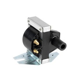 Acquista Bobina d'accensione da EFI AUTOMOTIVE 155361 a buon mercato per soli 176,46 €