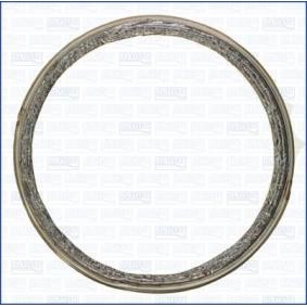 Dichtring, Abgasrohr 19006500 von AJUSA günstig für 10,73 € online kaufen