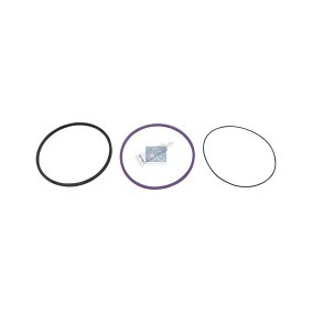 Köp O-ringssats, cylinderfoder av DT Spare Parts 2.90150 till det låga priset 395,22 kr