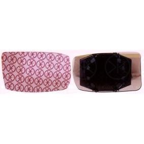Spiegelglas, Außenspiegel 20081061 von KLOKKERHOLM günstig für 12,02 € online kaufen