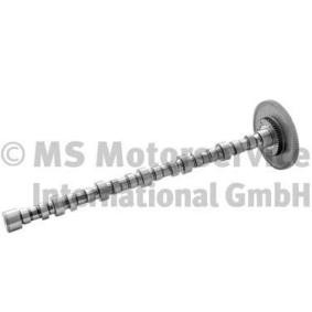 Comprar Árbol de levas de BF 20100228761 a bajo precio de 1030,06 €