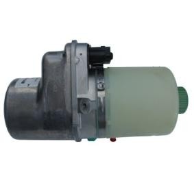 Compre Bomba de direção da SPIDAN 54456 a um preço baixo por 426,52 €