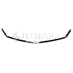 Rahmen, Kühlergitter 21383062 von JUMASA günstig für 51,17 € online kaufen