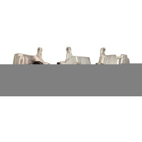 Compre Pinça de travão da DRI 3101220 a um preço baixo por 79,21 €