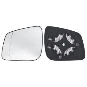 Spiegelglas, Außenspiegel 31202101 von IPARLUX günstig für 51,08 € online kaufen