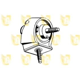 Motorlager für RENAULT von UNIGOM