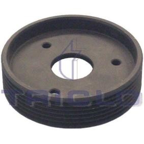 Compre Polia, cambota da TRICLO 425179 a um preço baixo por 29,12 €