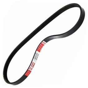 Keilrippenriemen 4PK785-PCS-MS von MASTER-SPORT günstig für 6,53 € online kaufen