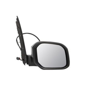 Compre Espelho retrovisor de BLIC online para VANETTE CARGO Caixa (HC 23) a preços moderados