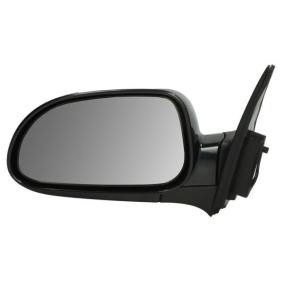 Außenspiegel 5402-56-2001071P von BLIC günstig für 70,26 € online kaufen