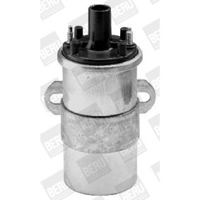 Lichtmaschinenregler GER030 von BERU günstig für 26,88 € online kaufen
