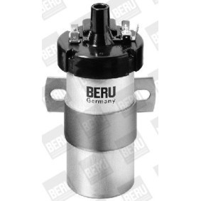 Lichtmaschinenregler für FIAT von BERU