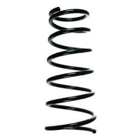 Fahrwerksfeder 55487 von SPIDAN günstig für 38,31 € online kaufen