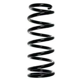 Compre Mola de suspensão da SPIDAN 55568 a um preço baixo por 80,96 €