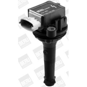 Kühlerlüfter LE010 von BERU günstig für 180,08 € online kaufen