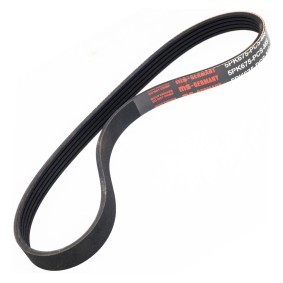 Keilrippenriemen 5PK675-PCS-MS von MASTER-SPORT günstig für 6,80 € online kaufen