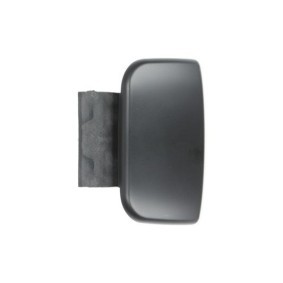 Spiegelglas, Außenspiegel 6102-02-1223852 von BLIC günstig für 22,34 € online kaufen