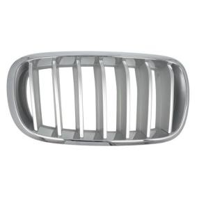Kühlergrill für BMW von BLIC