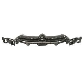 Kühlergrill 6502-07-0537991Q von BLIC günstig für 64,05 € online kaufen