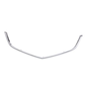 Zier- / Schutzleiste, Kühlergitter 6502-07-2926991P von BLIC günstig für 65,59 € online kaufen