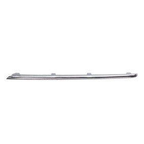 Zier- / Schutzleiste, Kühlergitter 6502-07-3529935P von BLIC günstig für 16,37 € online kaufen