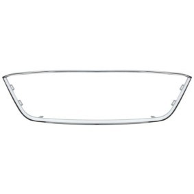 Rahmen, Kühlergitter 6502-07-6622995P von BLIC günstig für 30,55 € online kaufen