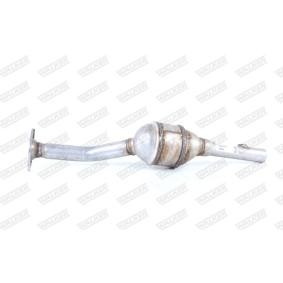 Compre Catalizador de WALKER online para Clio III Hatchback (SB, SR) a precios moderados