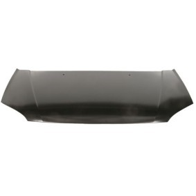 Motorhaube 6803-00-3127280Q von BLIC günstig für 250,06 € online kaufen